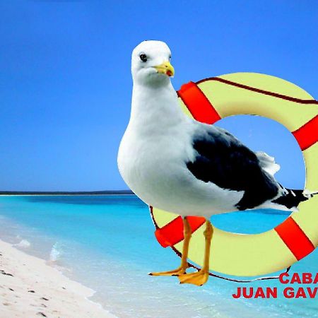 Cabanas Juan Gaviota Punta de Choros Εξωτερικό φωτογραφία