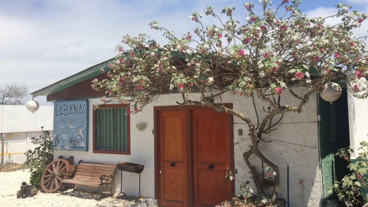 Cabanas Juan Gaviota Punta de Choros Εξωτερικό φωτογραφία