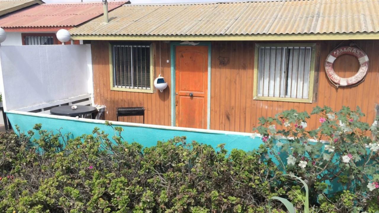 Cabanas Juan Gaviota Punta de Choros Εξωτερικό φωτογραφία