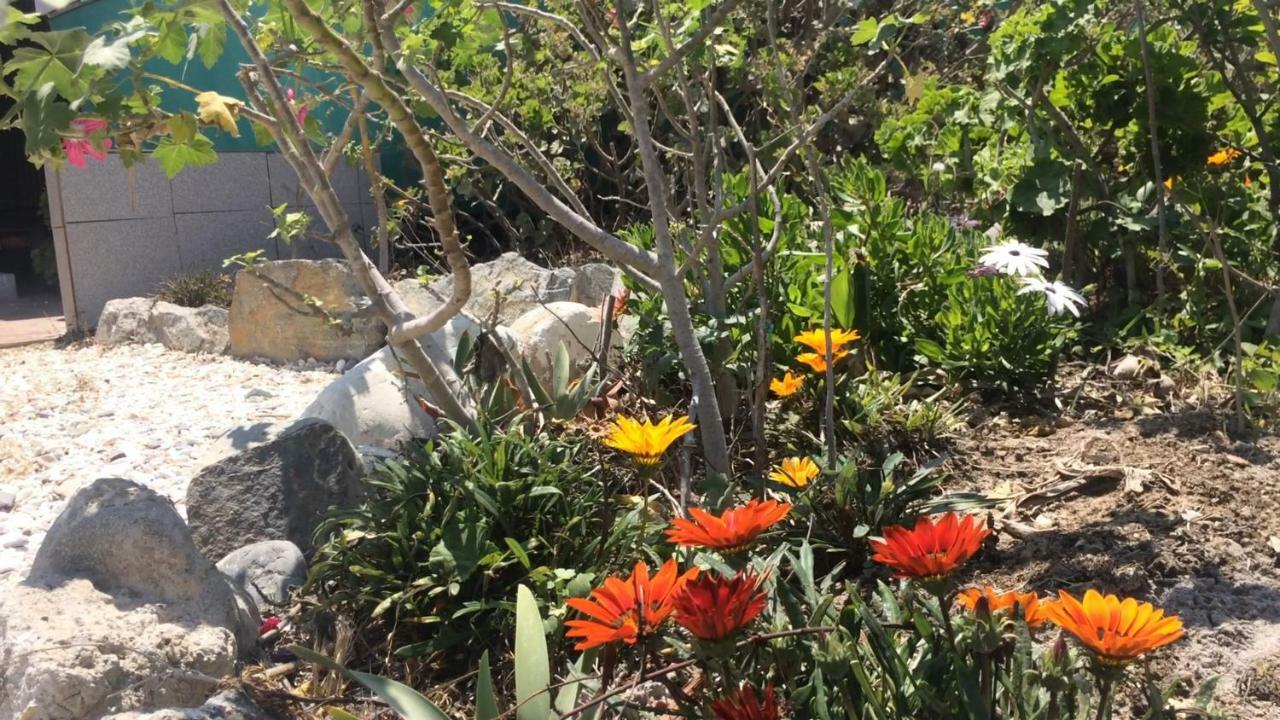 Cabanas Juan Gaviota Punta de Choros Εξωτερικό φωτογραφία