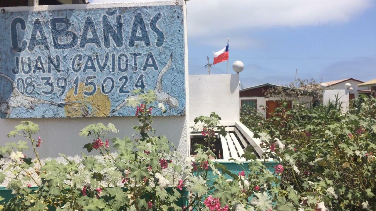 Cabanas Juan Gaviota Punta de Choros Εξωτερικό φωτογραφία