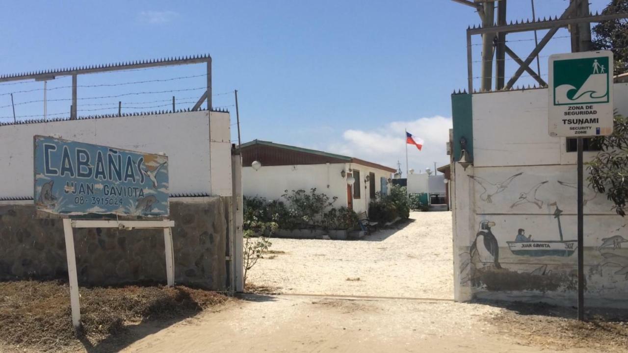 Cabanas Juan Gaviota Punta de Choros Εξωτερικό φωτογραφία