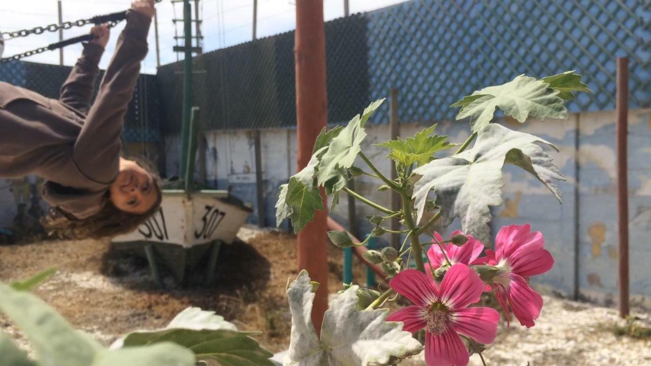 Cabanas Juan Gaviota Punta de Choros Εξωτερικό φωτογραφία