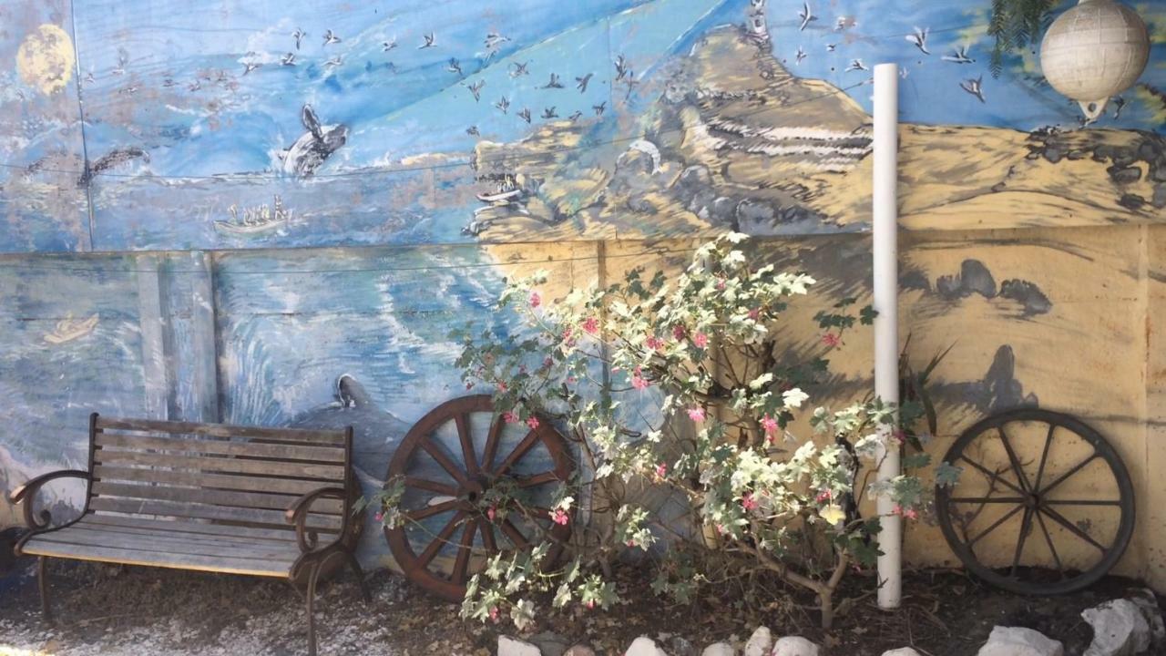 Cabanas Juan Gaviota Punta de Choros Εξωτερικό φωτογραφία