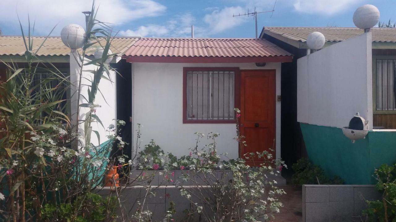 Cabanas Juan Gaviota Punta de Choros Εξωτερικό φωτογραφία