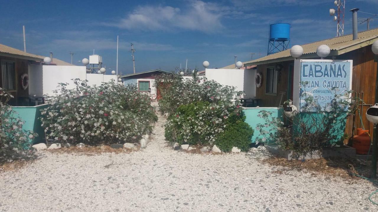 Cabanas Juan Gaviota Punta de Choros Εξωτερικό φωτογραφία
