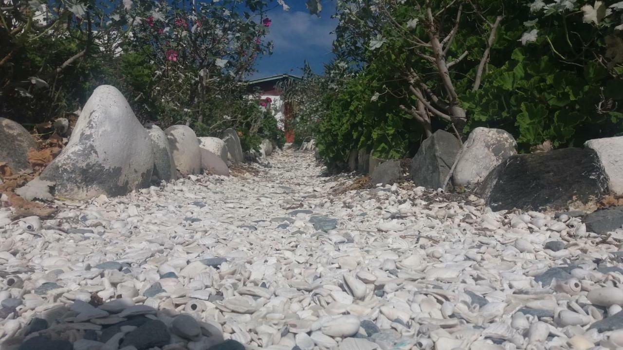 Cabanas Juan Gaviota Punta de Choros Εξωτερικό φωτογραφία